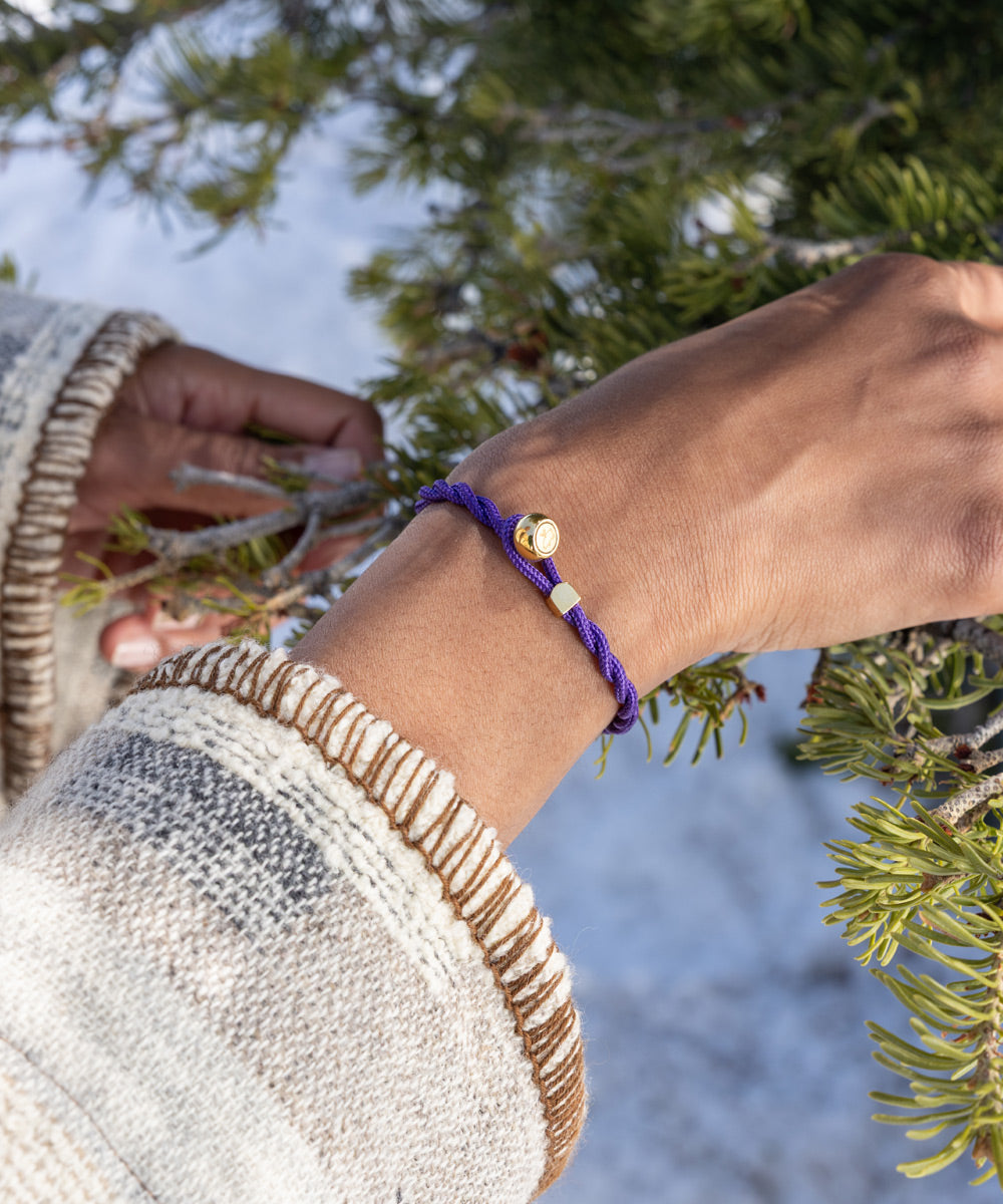 pig-hen-ed-armband-royal-purple-gold image 3