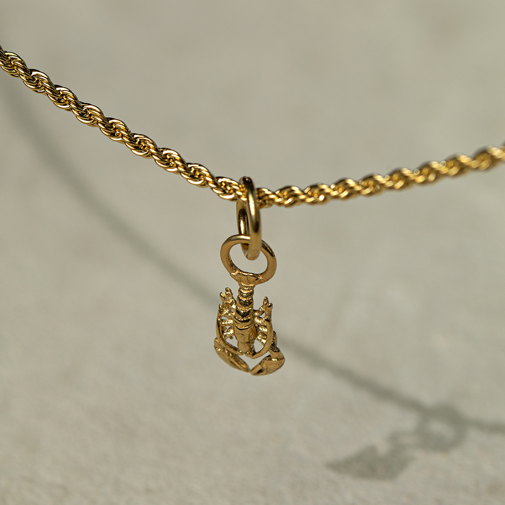 paul-hewitt-set-lobster-charm-und-halskette-gold image 4