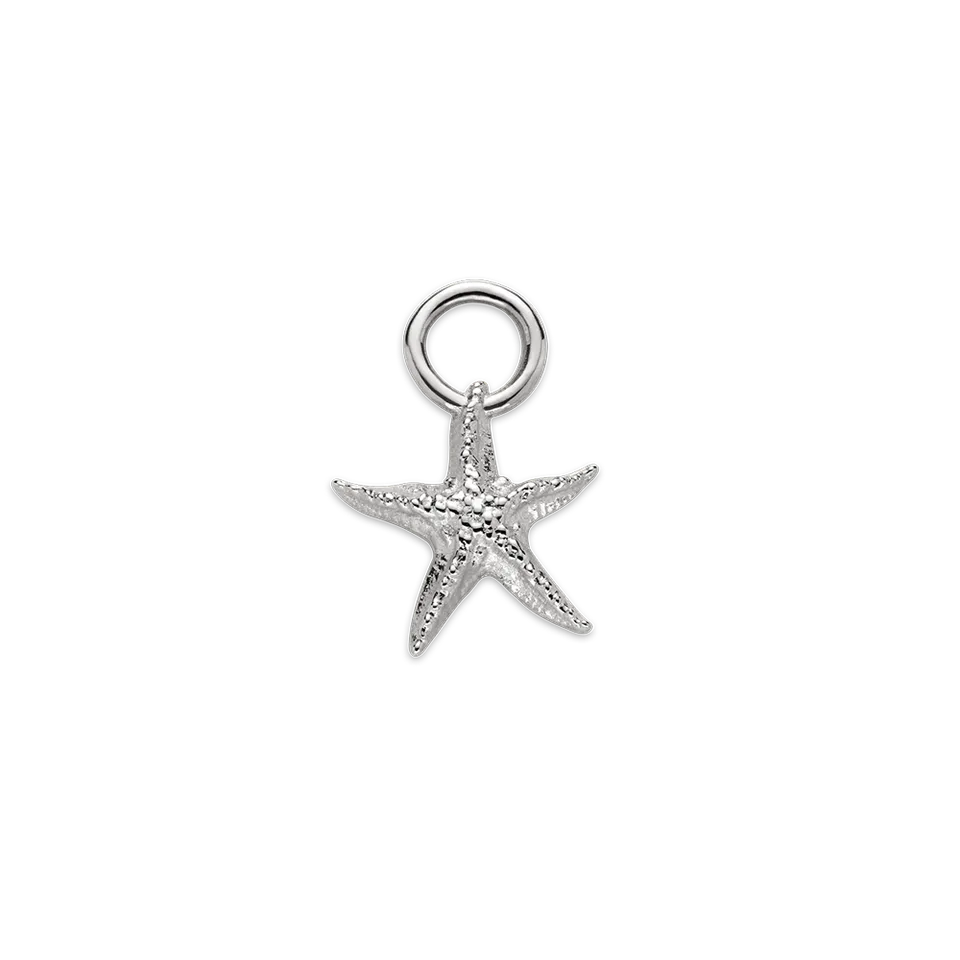 paul-hewitt-starfish-charm-silber image 1