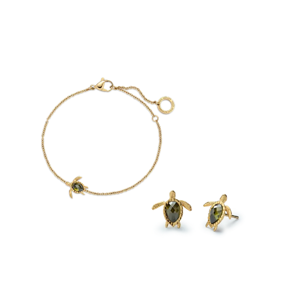 paul-hewitt-set-turtle-v-gold-armkette-und-ohrringe image 1