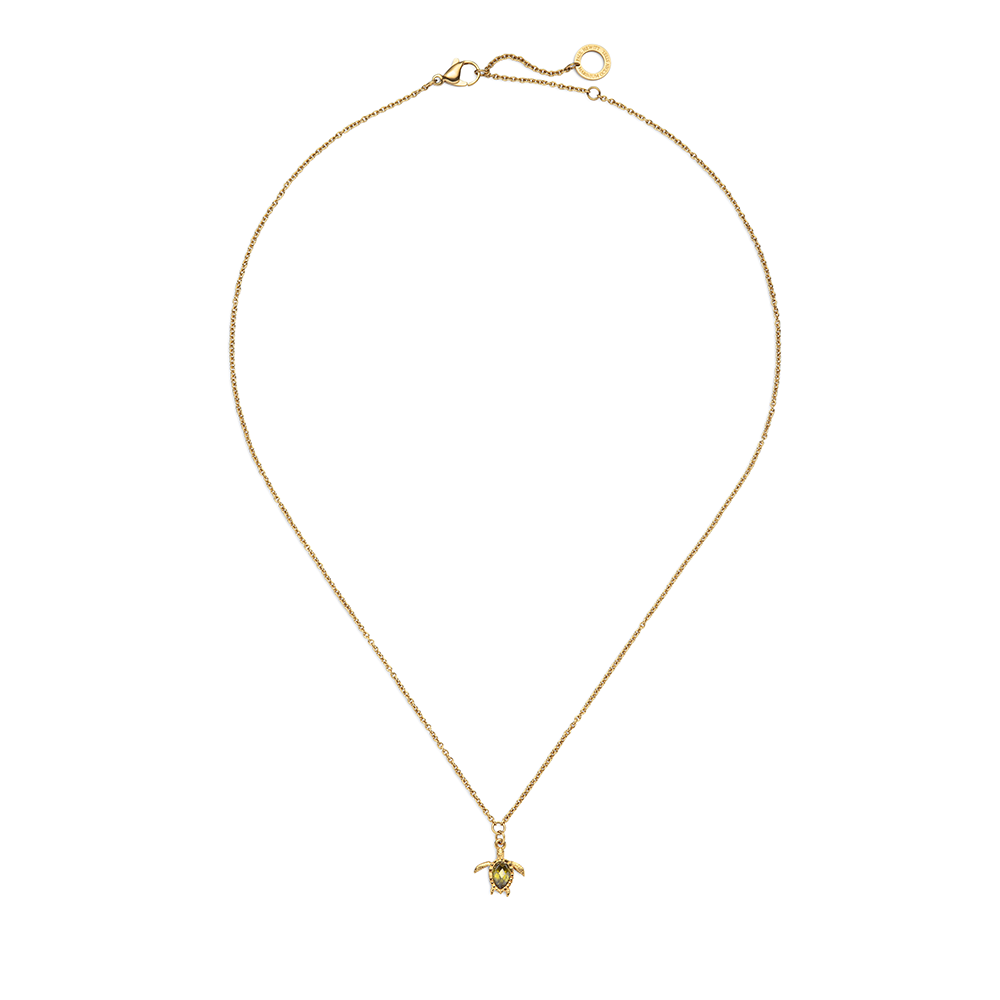 paul-hewitt-set-turtle-iii-gold-halskette-ohrringe-geschenkset image 3