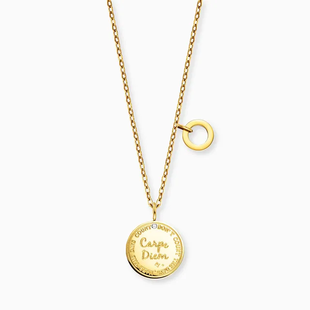mysteel-by-engelsrufer-halskette-edelstahl-gold-carpe-diem-mit-gru-karte image 1