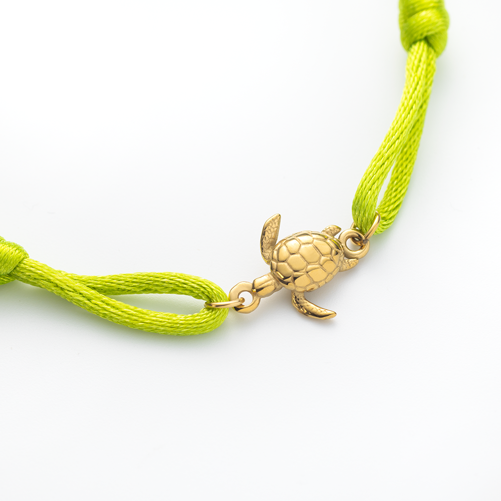 paul-hewitt-turtle-band-seaweed-green-einheitsgr-e image 3