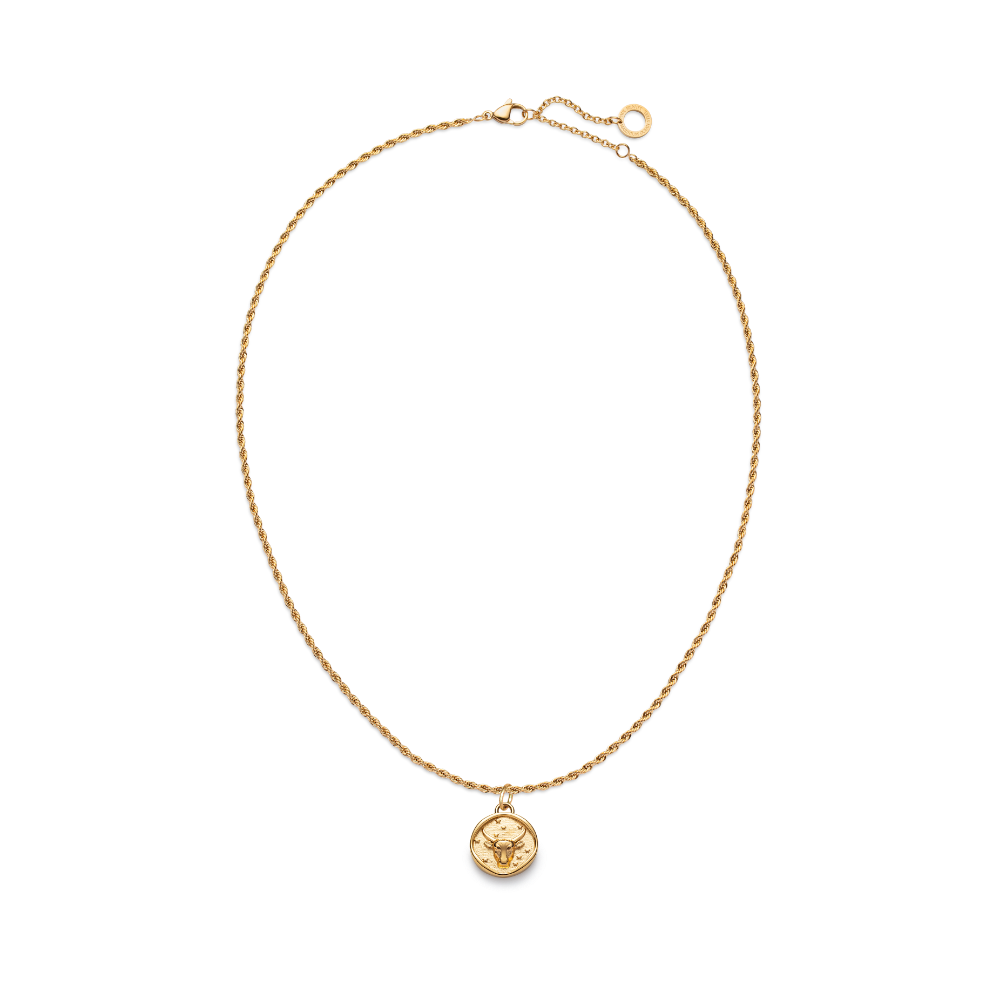 paul-hewitt-set-taurus-charm-und-halskette-gold image 2