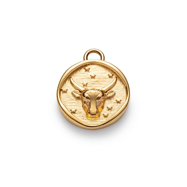 paul-hewitt-taurus-charm-gold-sternzeichen-charm-stier image 1