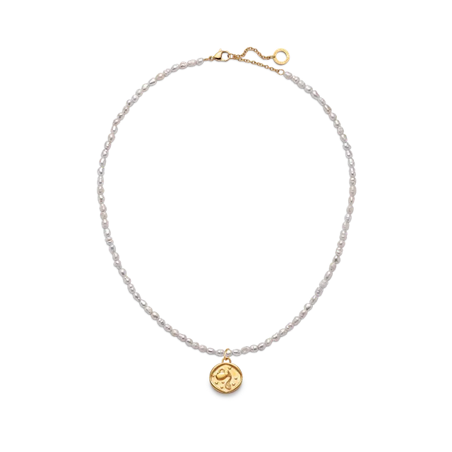 paul-hewitt-aquarius-charm-halsketten-set-gold image 1