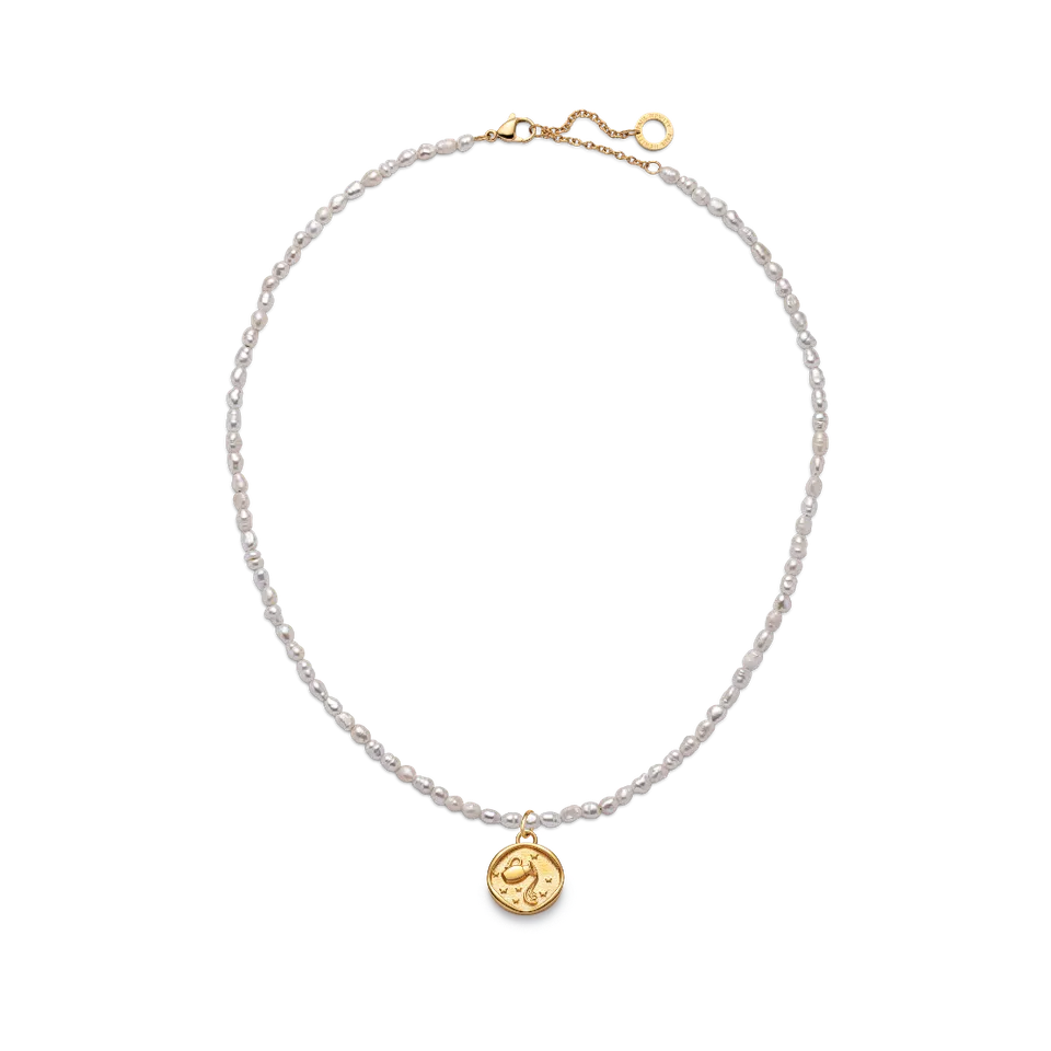 paul-hewitt-aquarius-charm-halsketten-set-gold image 1