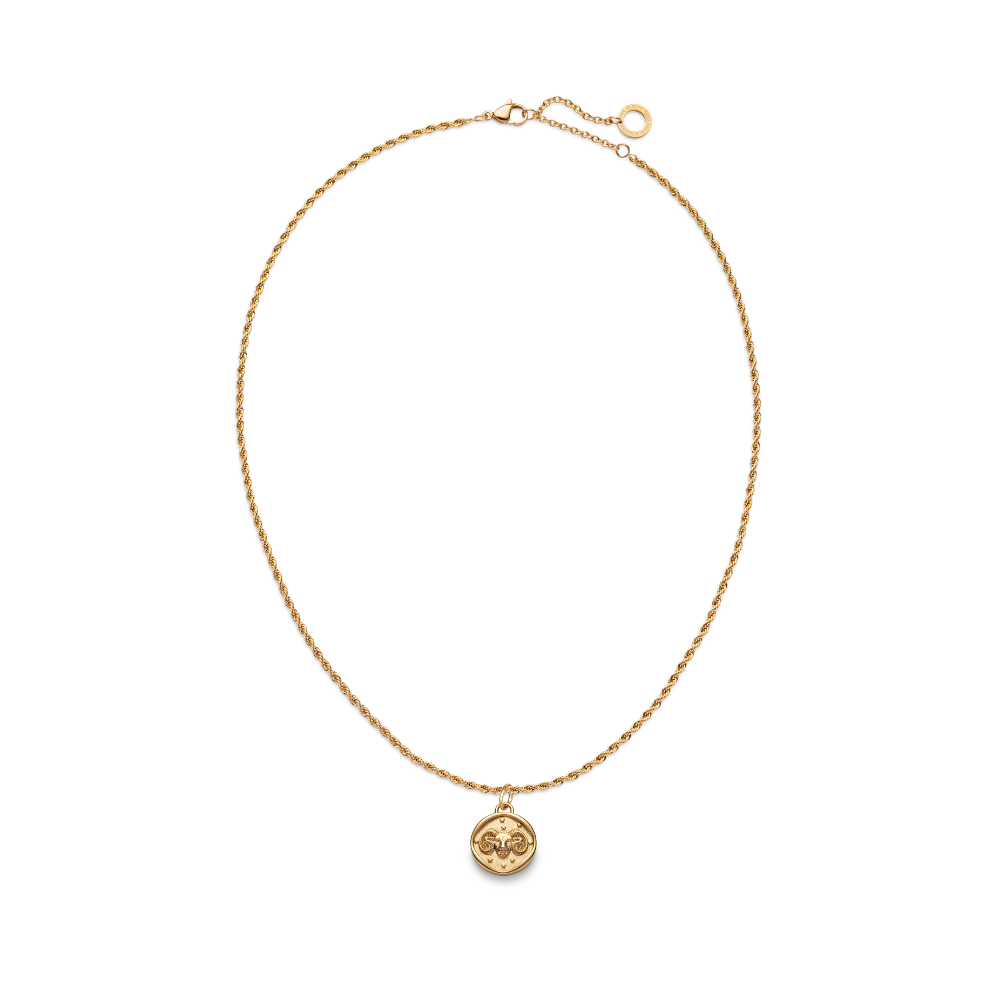 paul-hewitt-set-aries-charm-und-halskette-gold image 1