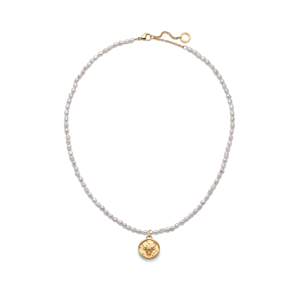 paul-hewitt-set-taurus-charm-und-halskette-gold image 1