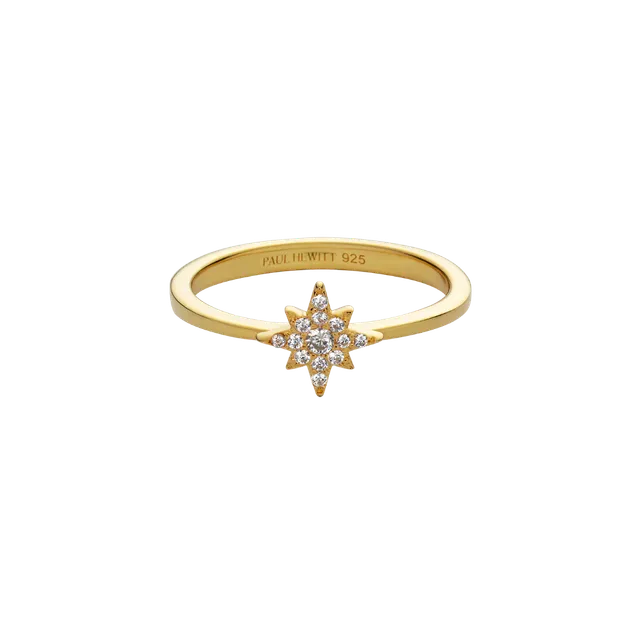 paul-hewitt-windrose-mono-ring-gold image 1