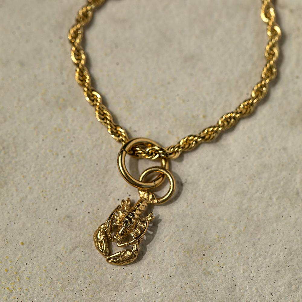 paul-hewitt-set-lobster-charm-und-armkette-gold image 4