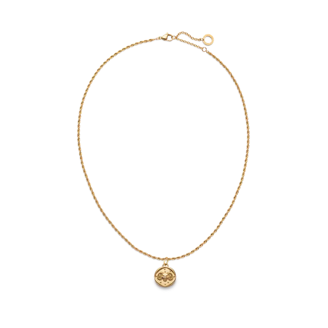 paul-hewitt-set-aries-charm-und-halskette-gold image 1