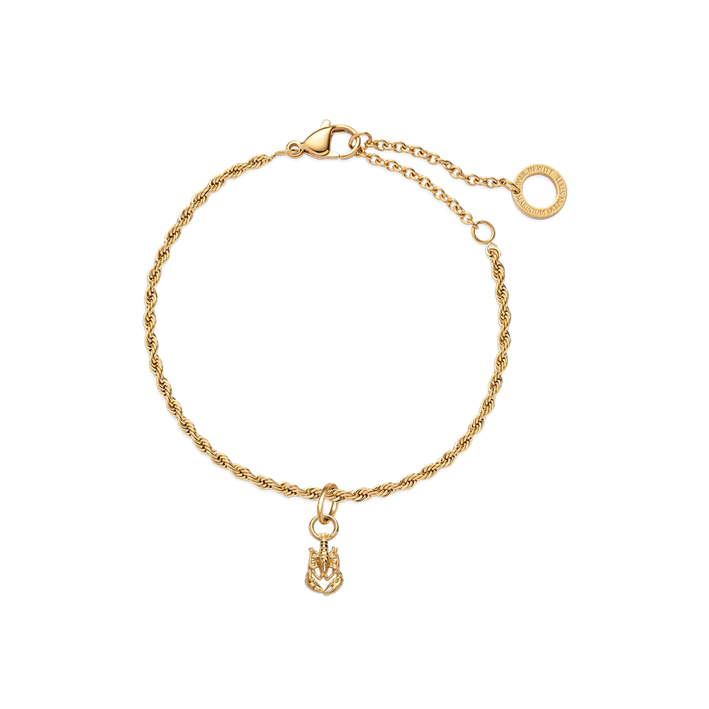 paul-hewitt-set-lobster-charm-und-armkette-gold image 1