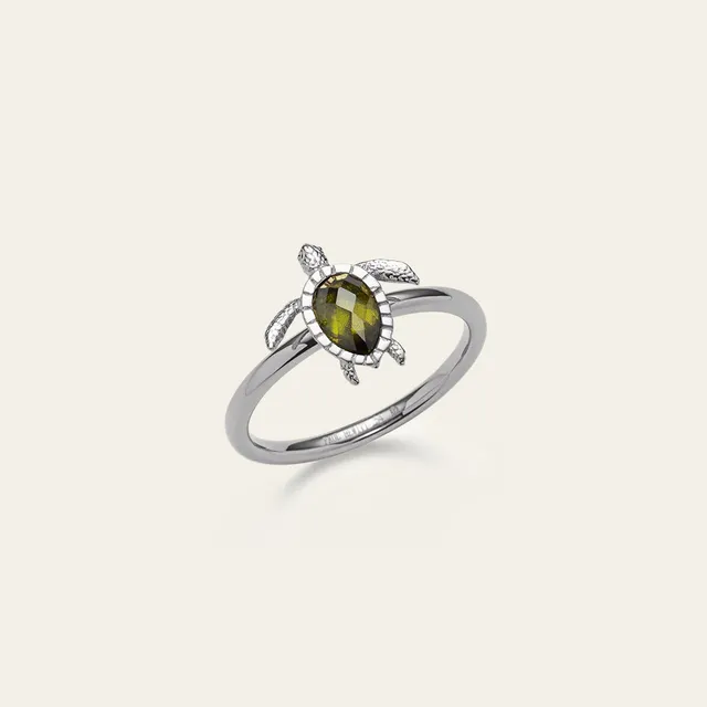 paul-hewitt-turtle-ring-silber image 1