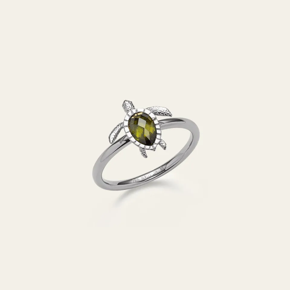 paul-hewitt-turtle-ring-silber image 1
