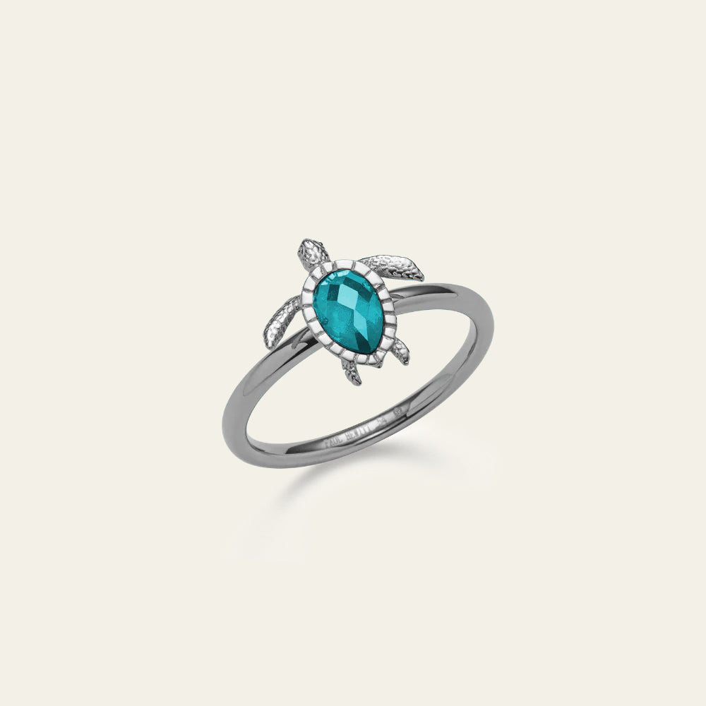paul-hewitt-turtle-ring-aquamarine-silber image 1