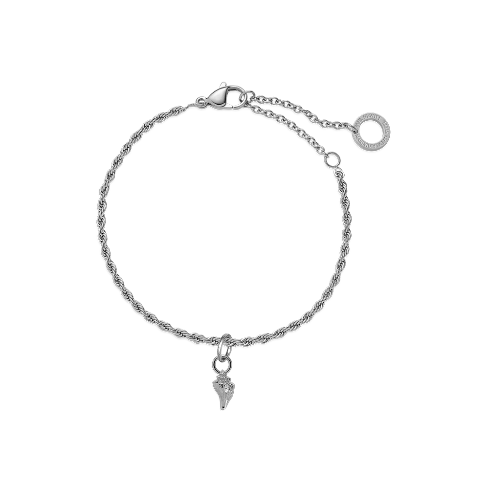paul-hewitt-set-sea-shell-charm-und-armkette-silber image 1