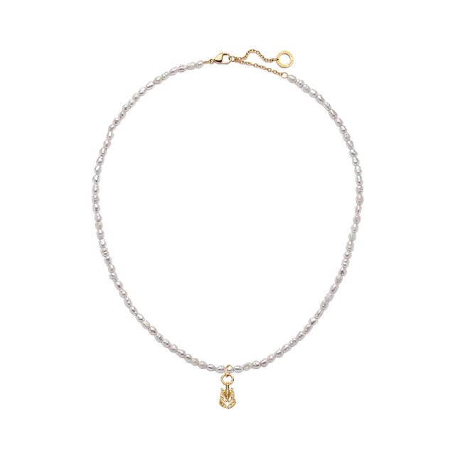 paul-hewitt-set-lobster-charm-und-halskette-gold image 1