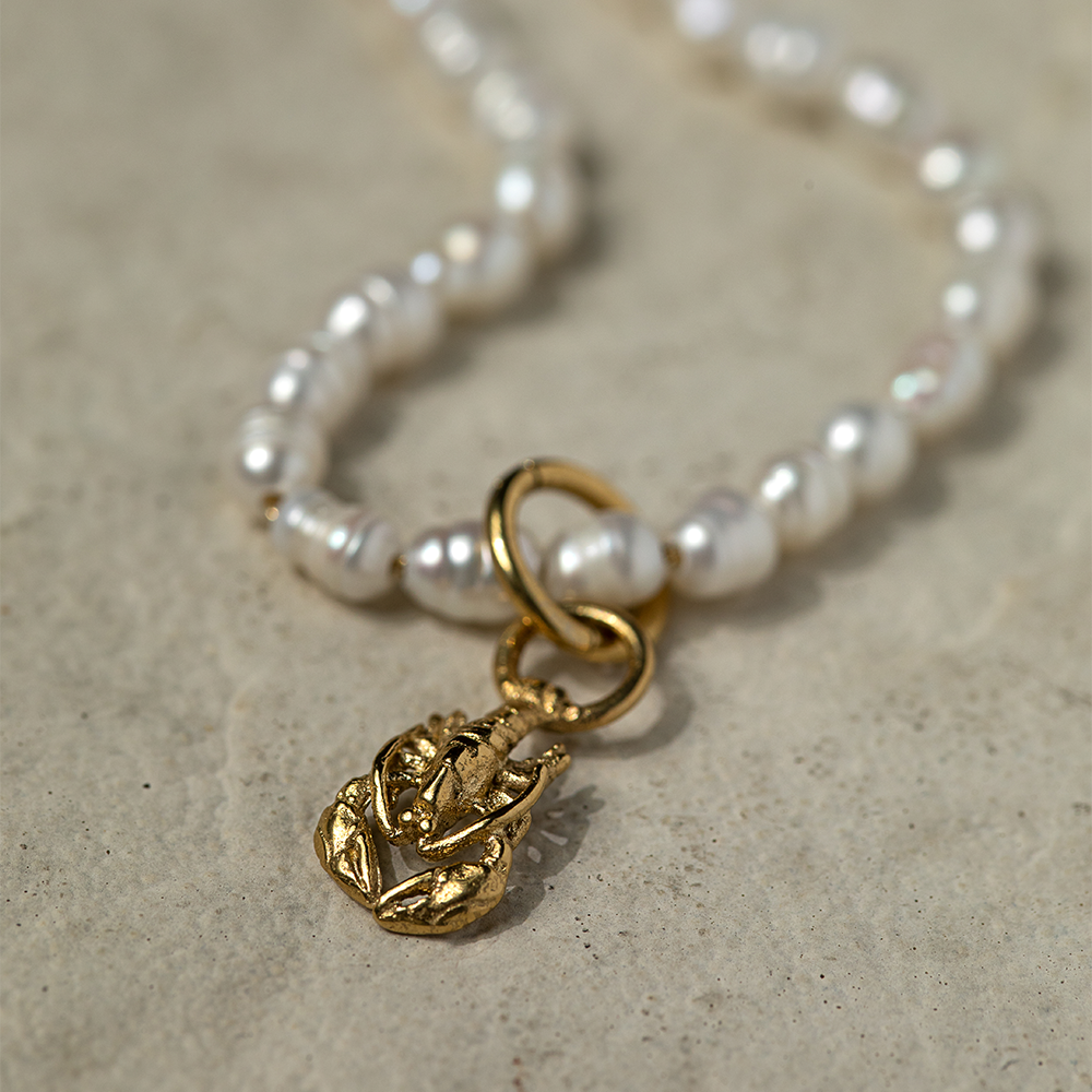 paul-hewitt-set-lobster-charm-und-armkette-gold image 3