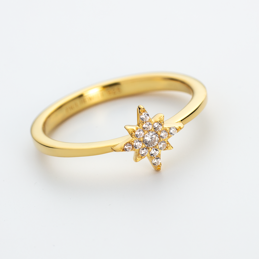 paul-hewitt-windrose-mono-ring-gold image 5