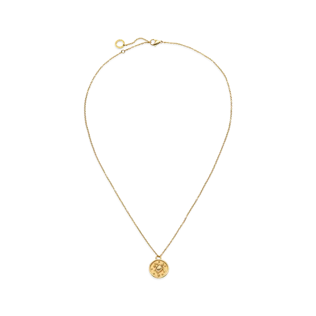 paul-hewitt-turtle-coin-halskette-gold image 1