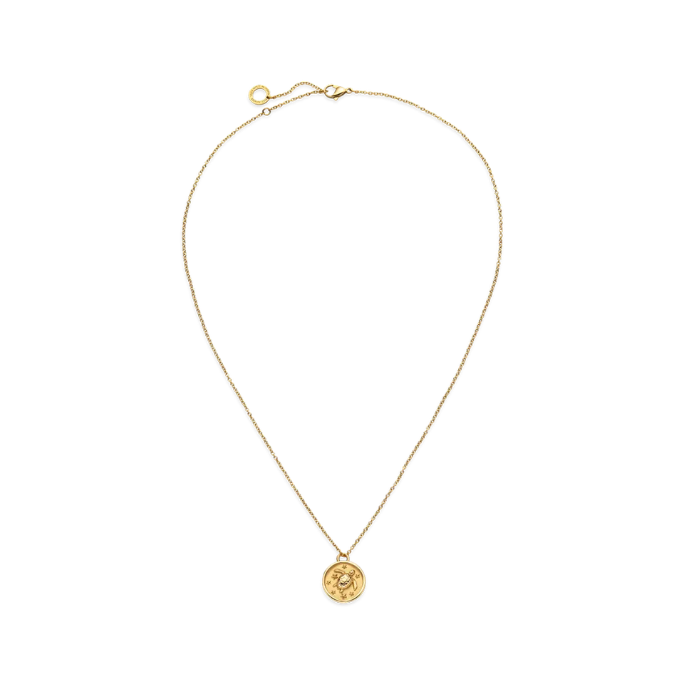 paul-hewitt-turtle-coin-halskette-gold image 1