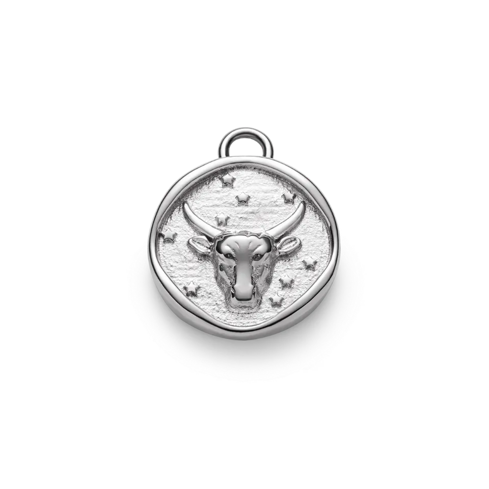 paul-hewitt-taurus-charm-silber-zodiac-sternzeichen-anh-nger image 1