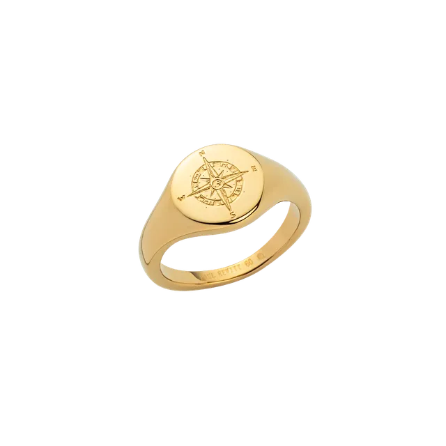 paul-hewitt-signet-ring-windrose-gold image 1