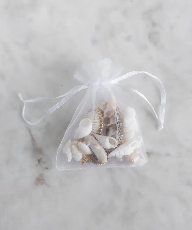 wald-berlin-candyman-shell-kit-echte-muscheln-zum-schmuck-selbermachen image 1