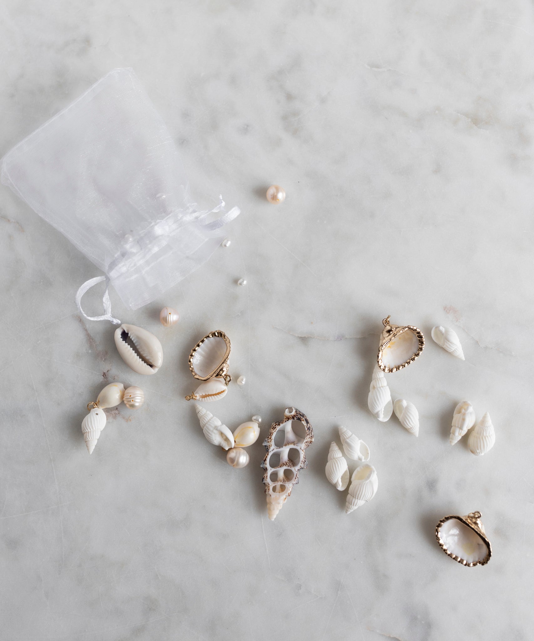 wald-berlin-candyman-shell-kit-echte-muscheln-zum-schmuck-selbermachen image 2