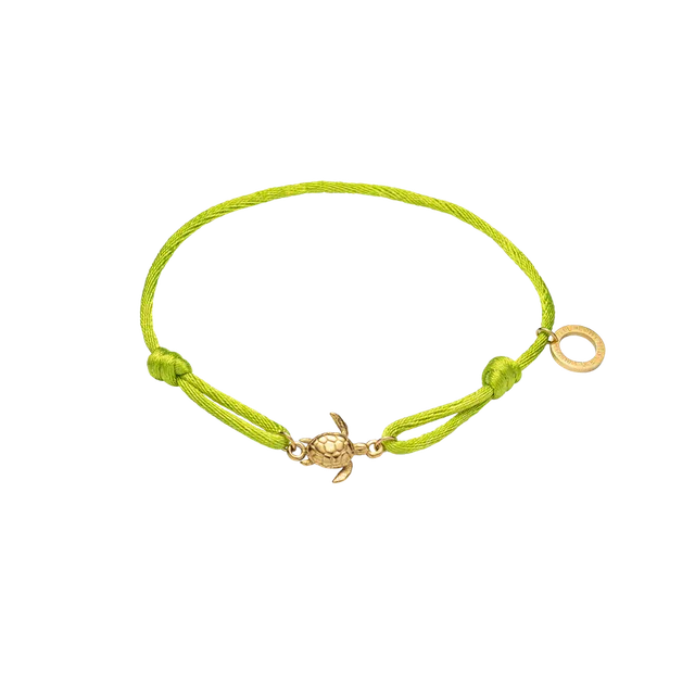 paul-hewitt-turtle-band-seaweed-green-einheitsgr-e image 1