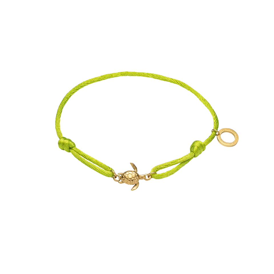 paul-hewitt-turtle-band-seaweed-green-einheitsgr-e image 1