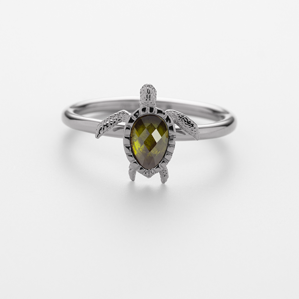 paul-hewitt-turtle-ring-silber image 3
