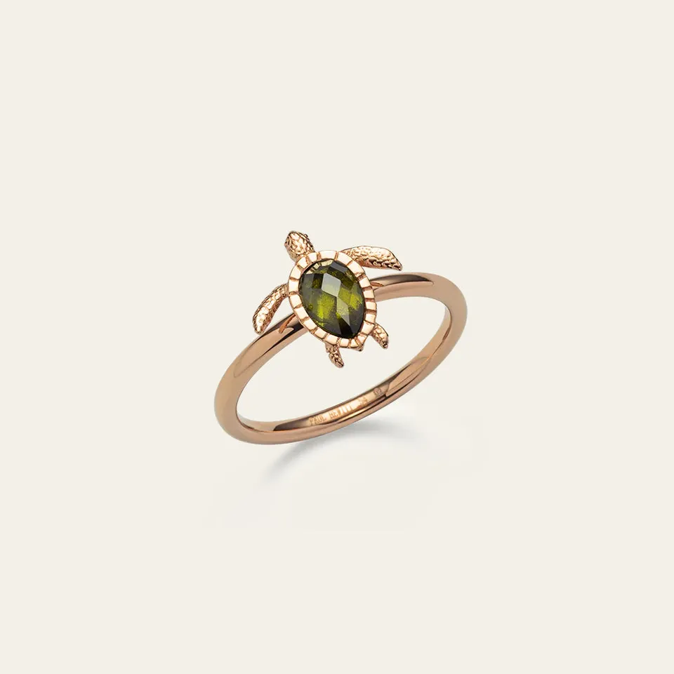 paul-hewitt-turtle-ring-ros-gold-damen-ring image 1