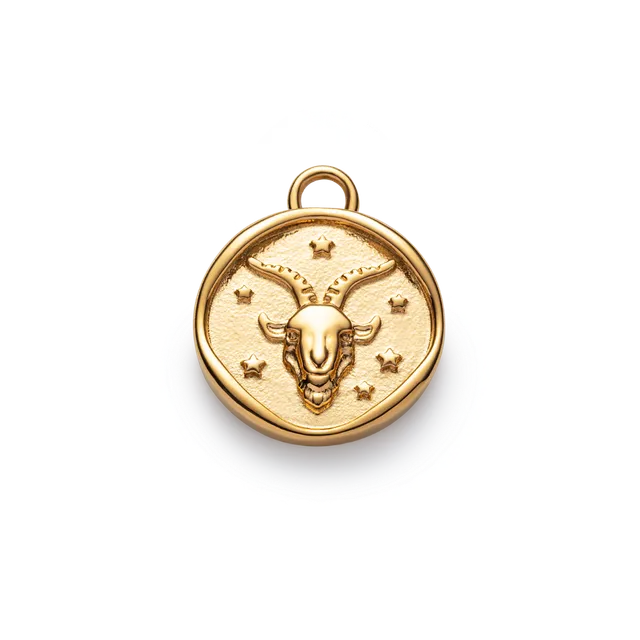 paul-hewitt-ocean-stories-capricorn-charm-gold image 1