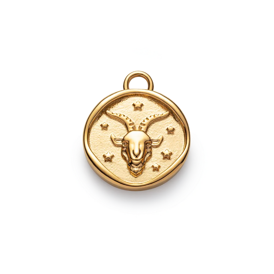 paul-hewitt-ocean-stories-capricorn-charm-gold image 1
