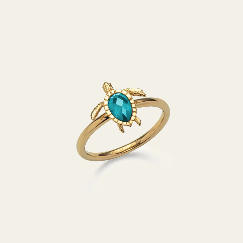 paul-hewitt-turtle-ring-aquamarine-gold-gl-cksbringer-ring image 1