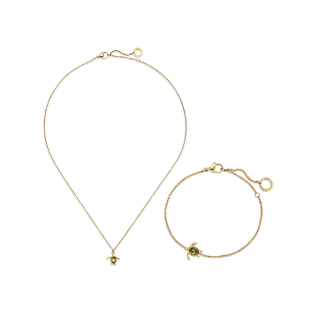 paul-hewitt-set-turtle-iv-gold-halskette-armband-geschenkset image 1
