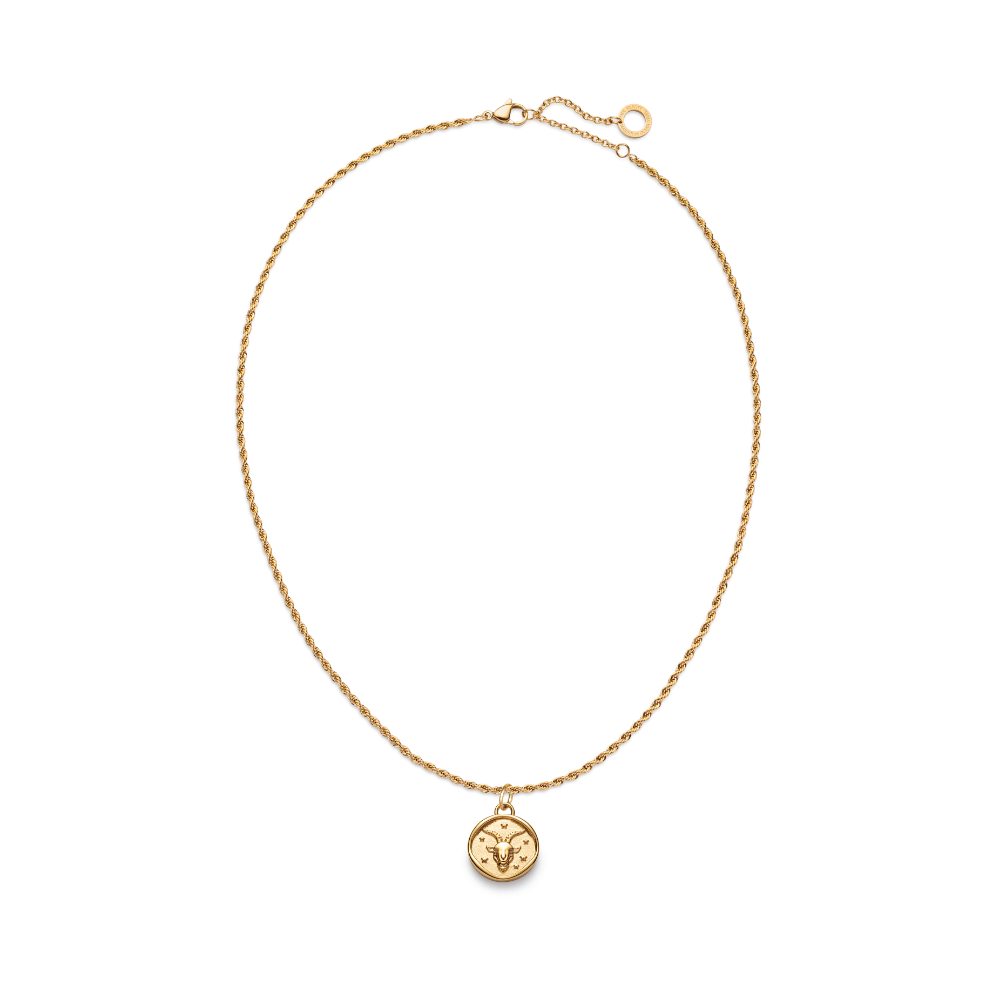 paul-hewitt-set-capricorn-charm-und-halskette-gold-sternzeichen-set-damen image 2