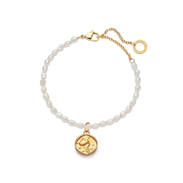 paul-hewitt-aquarius-charm-und-armkette-gold-set image 1