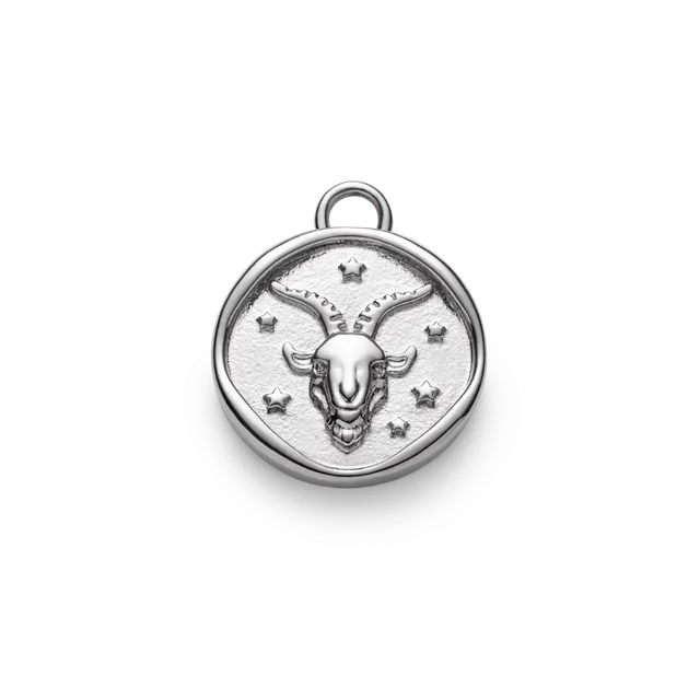 paul-hewitt-zodiac-capricorn-charm-silber image 1