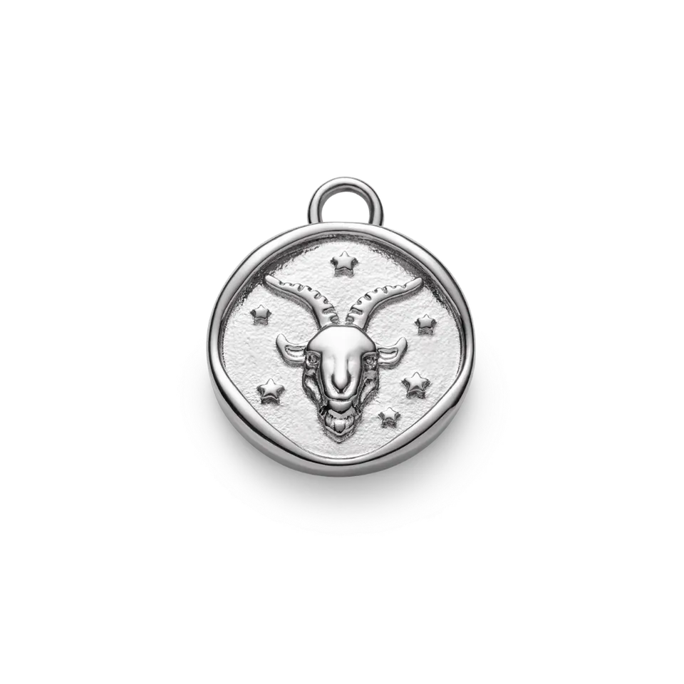 paul-hewitt-zodiac-capricorn-charm-silber image 1