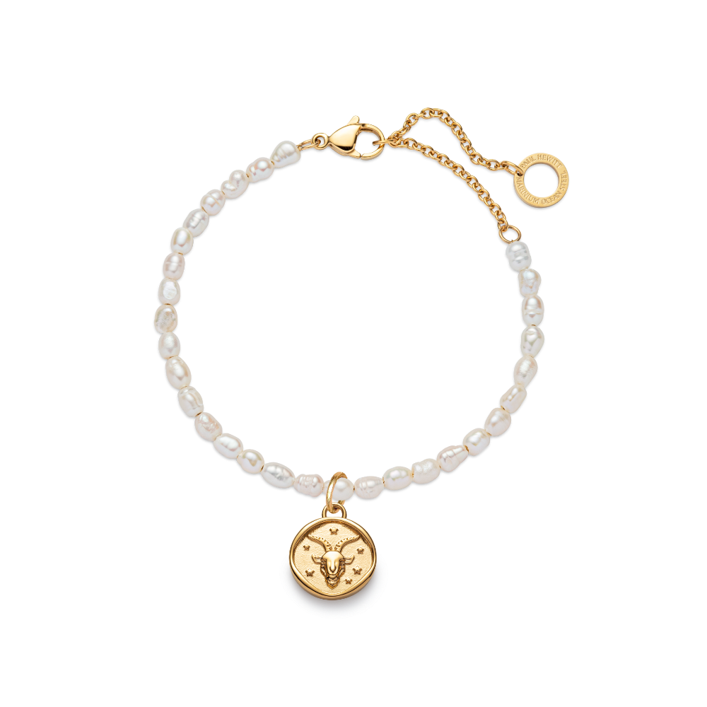 paul-hewitt-ocean-stories-set-capricorn-charm-und-armkette-gold image 1