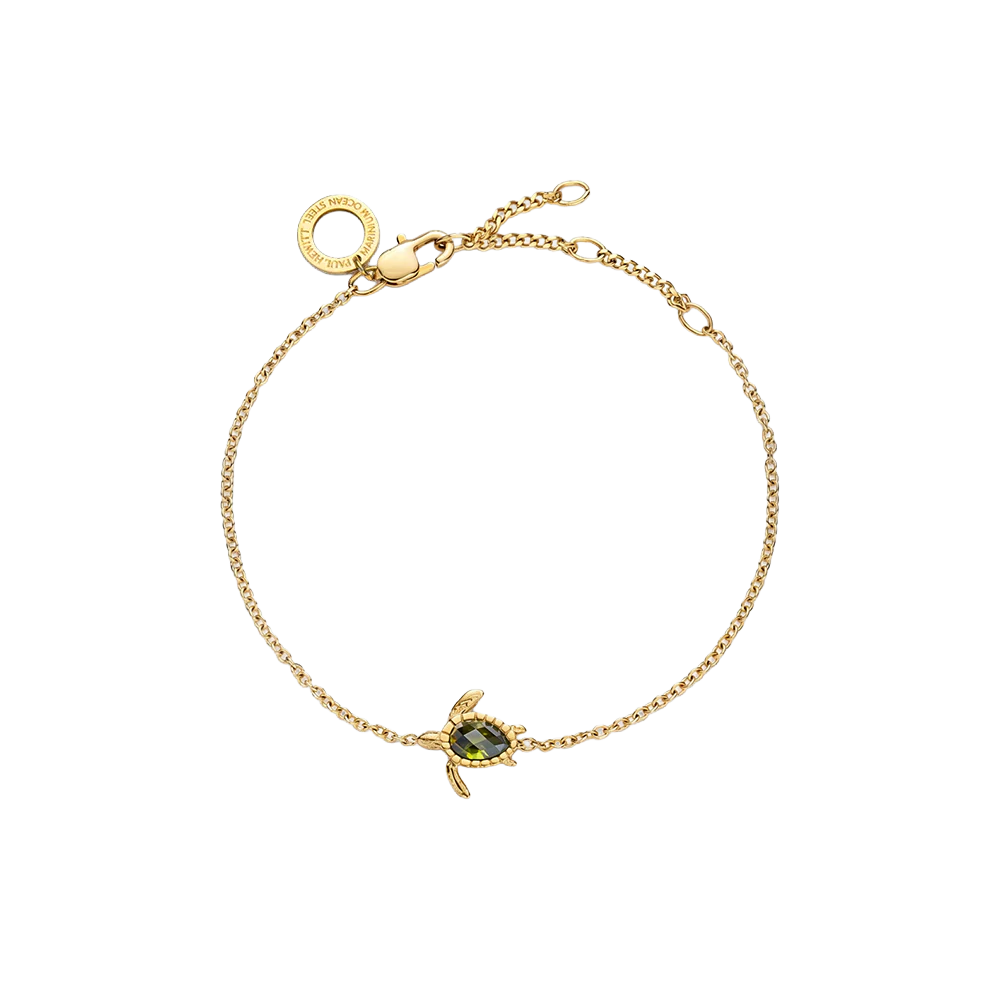 paul-hewitt-turtle-mono-armkette-gold image 1