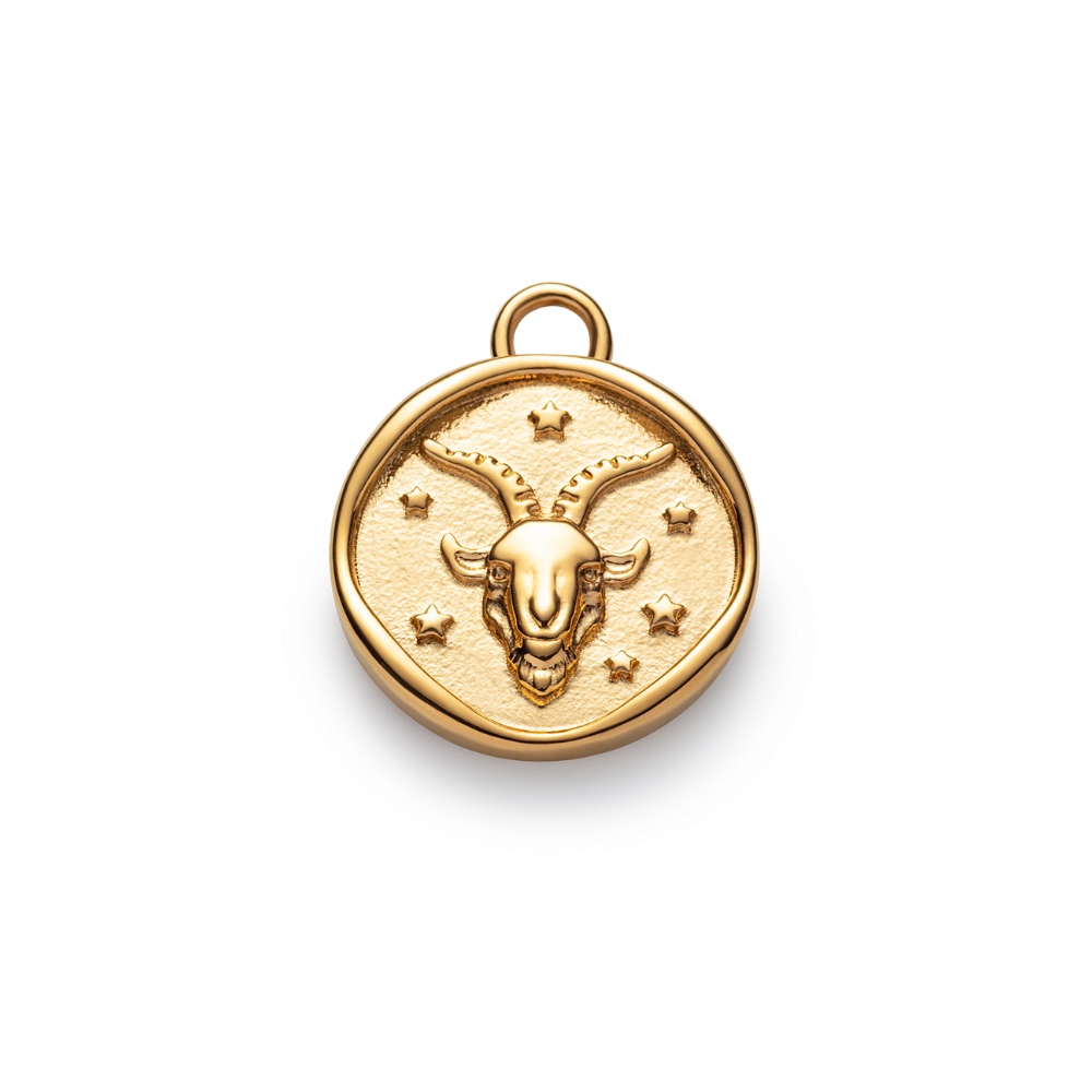 paul-hewitt-ocean-stories-capricorn-charm-gold image 1