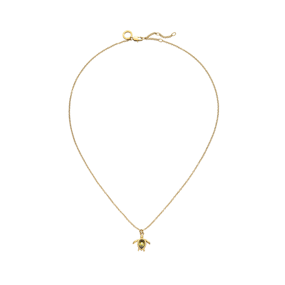 paul-hewitt-turtle-mono-halskette-gold-damen-kette-mit-schildkr-te image 3