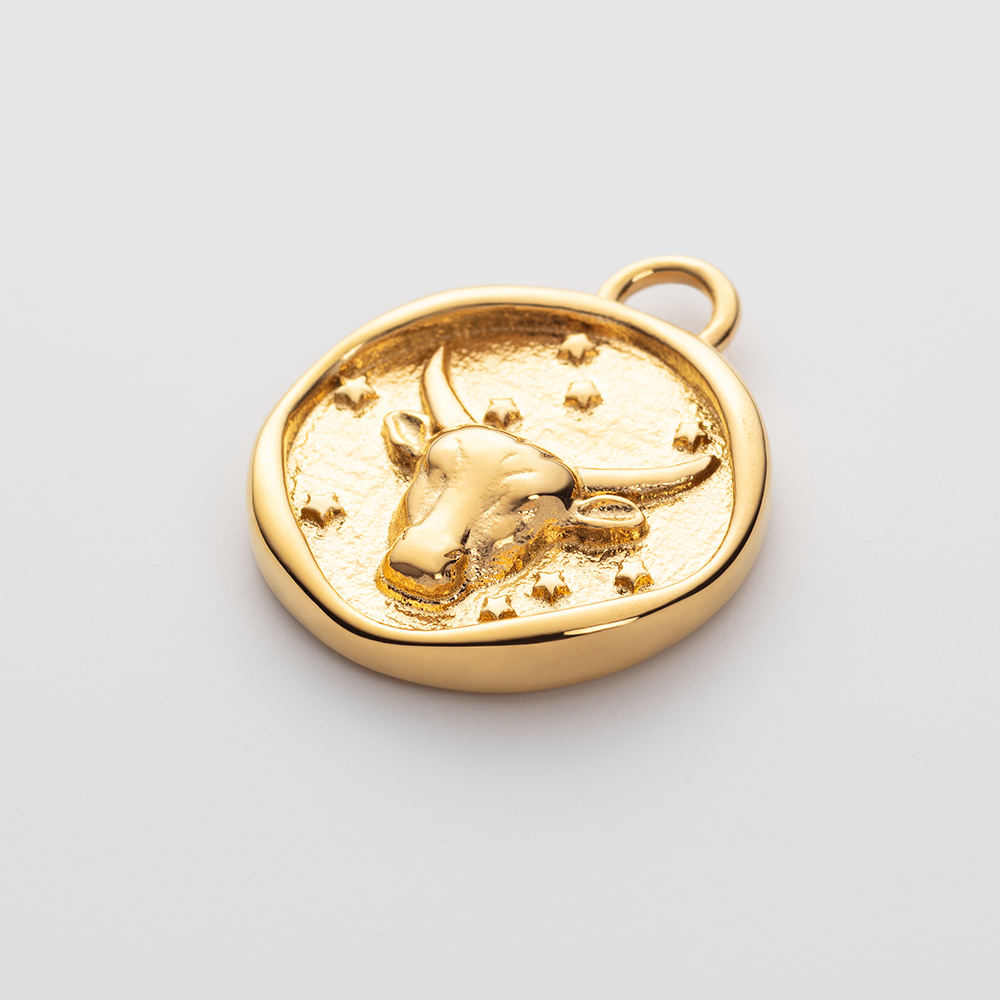 paul-hewitt-ocean-stories-set-capricorn-charm-und-armkette-gold image 4