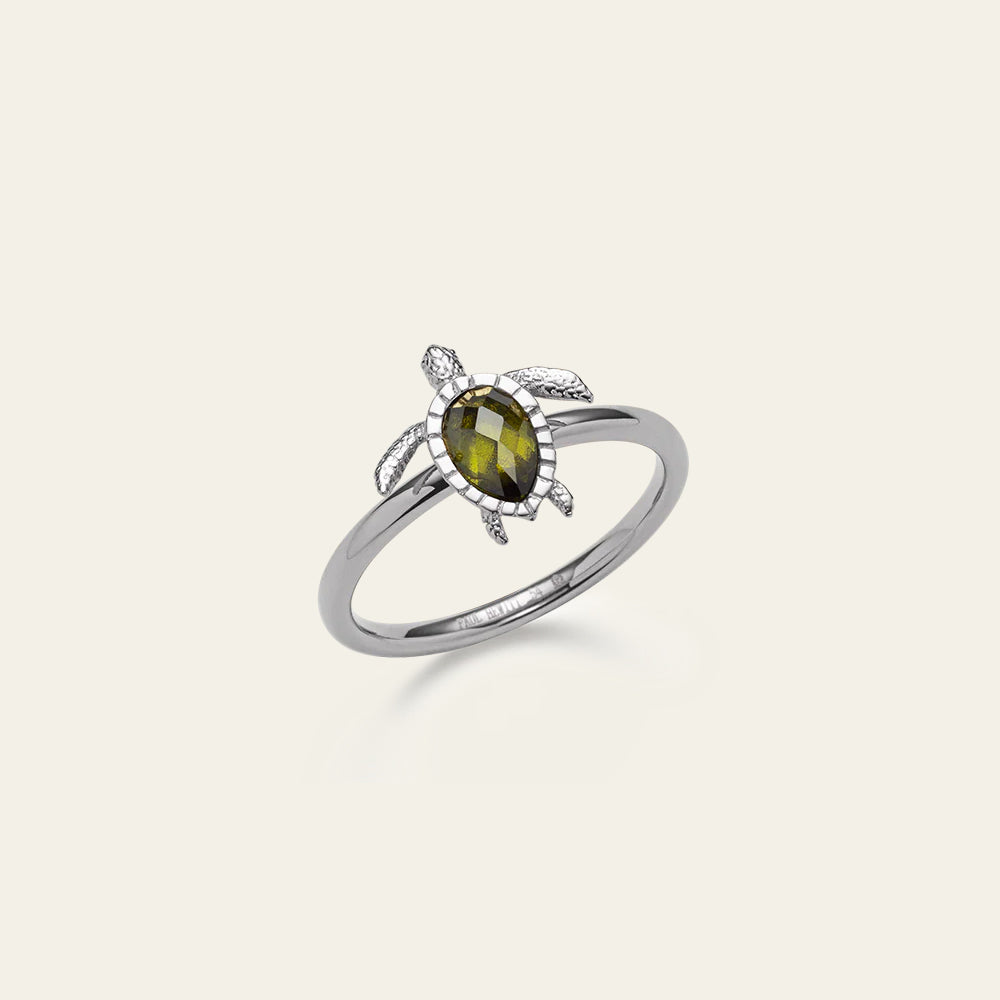 paul-hewitt-turtle-ring-silber image 1