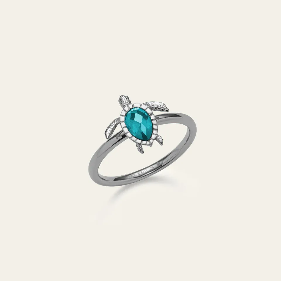 paul-hewitt-turtle-ring-aquamarine-silber image 1