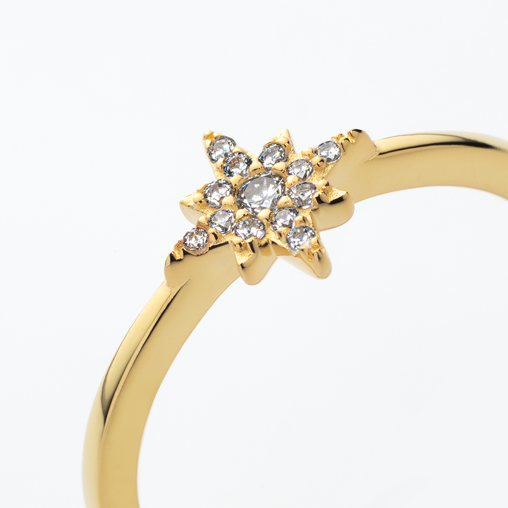 paul-hewitt-windrose-mono-ring-gold image 4